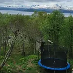 Aurora View *
